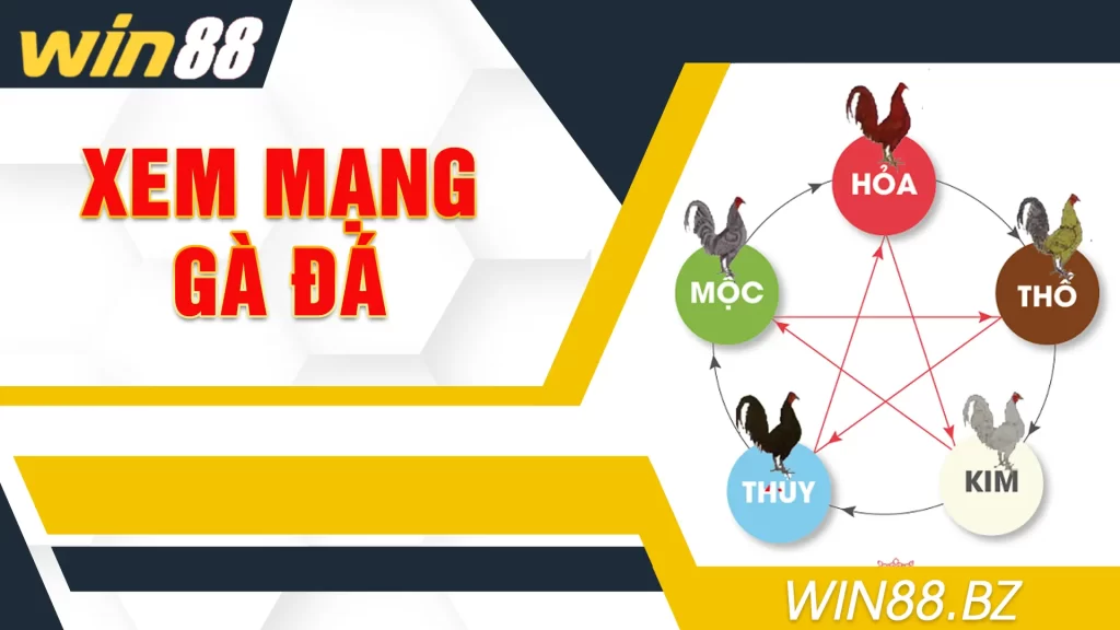 xem mạng gà đá 01